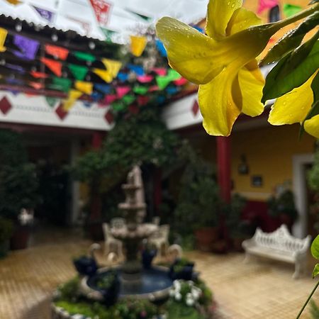 Copa De Oro Hotel Boutique Mascota Dış mekan fotoğraf