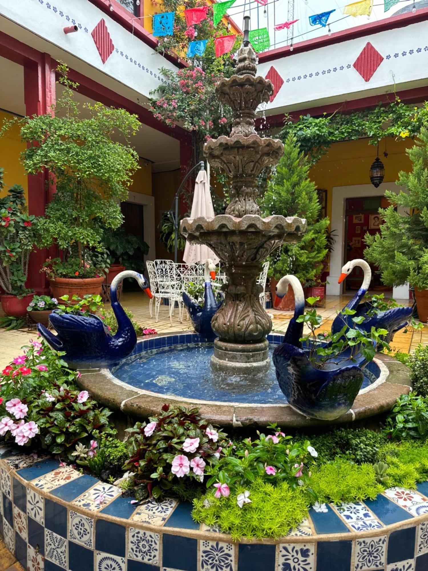 Copa De Oro Hotel Boutique Mascota Dış mekan fotoğraf
