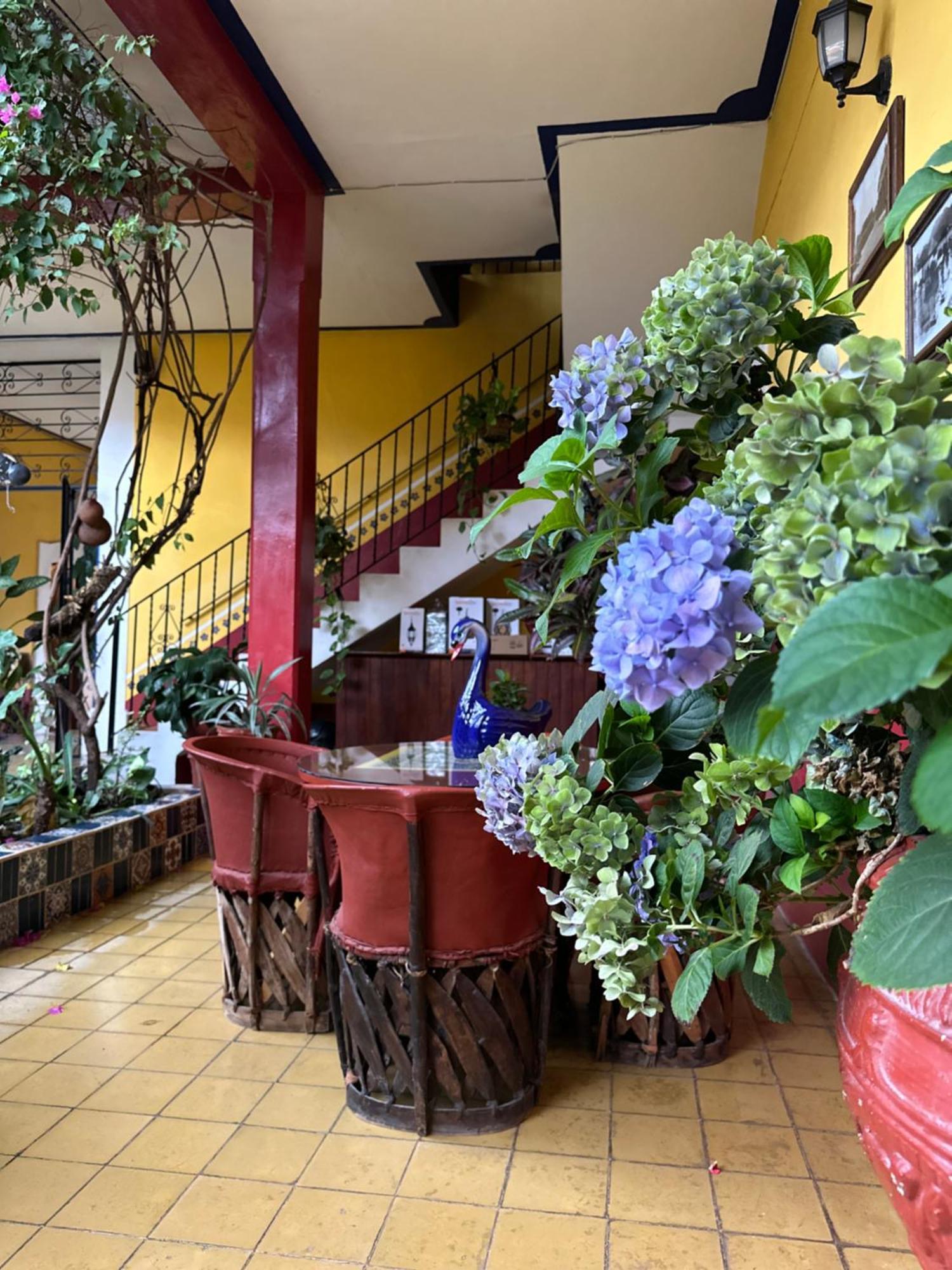 Copa De Oro Hotel Boutique Mascota Dış mekan fotoğraf