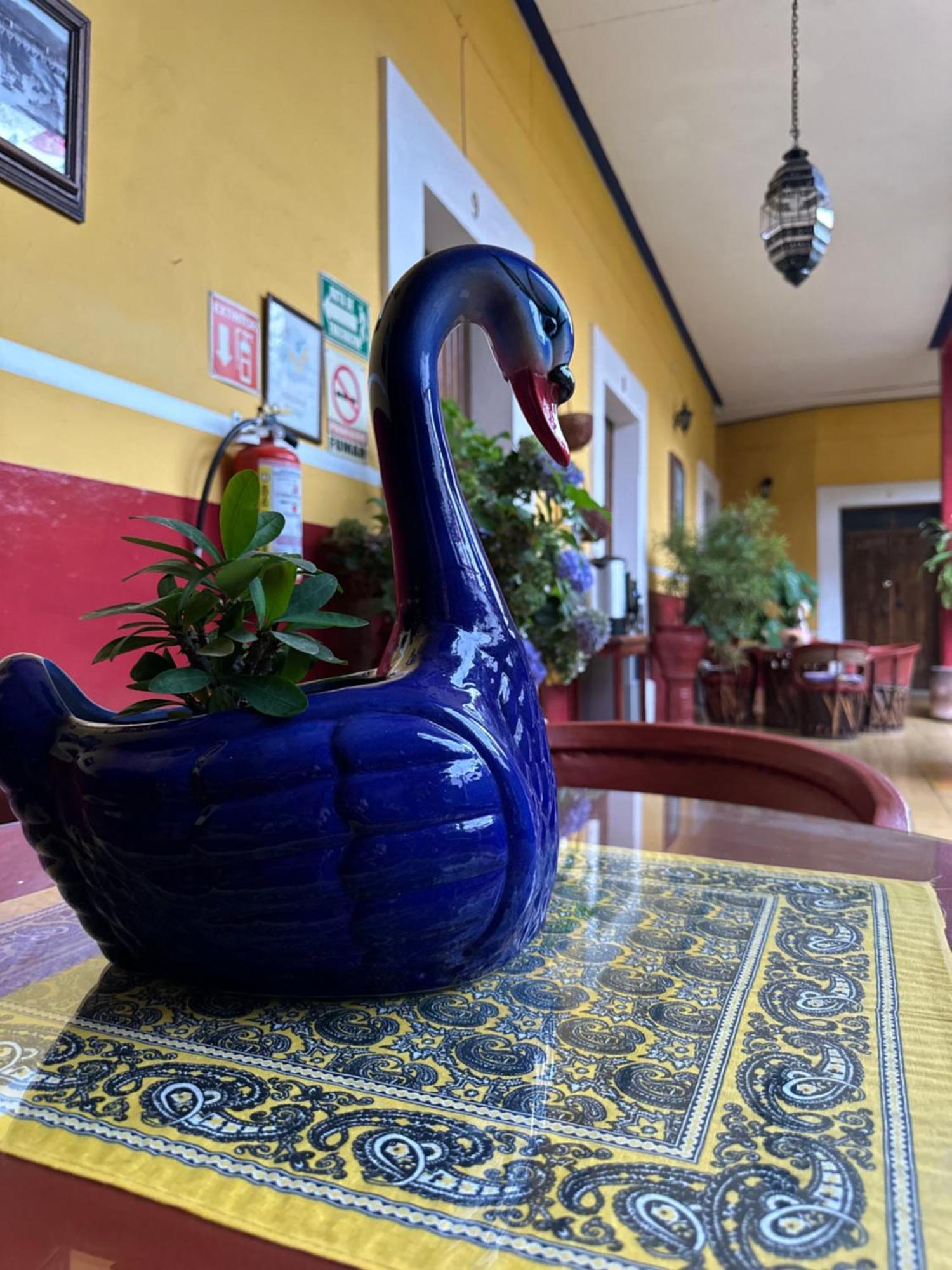 Copa De Oro Hotel Boutique Mascota Dış mekan fotoğraf