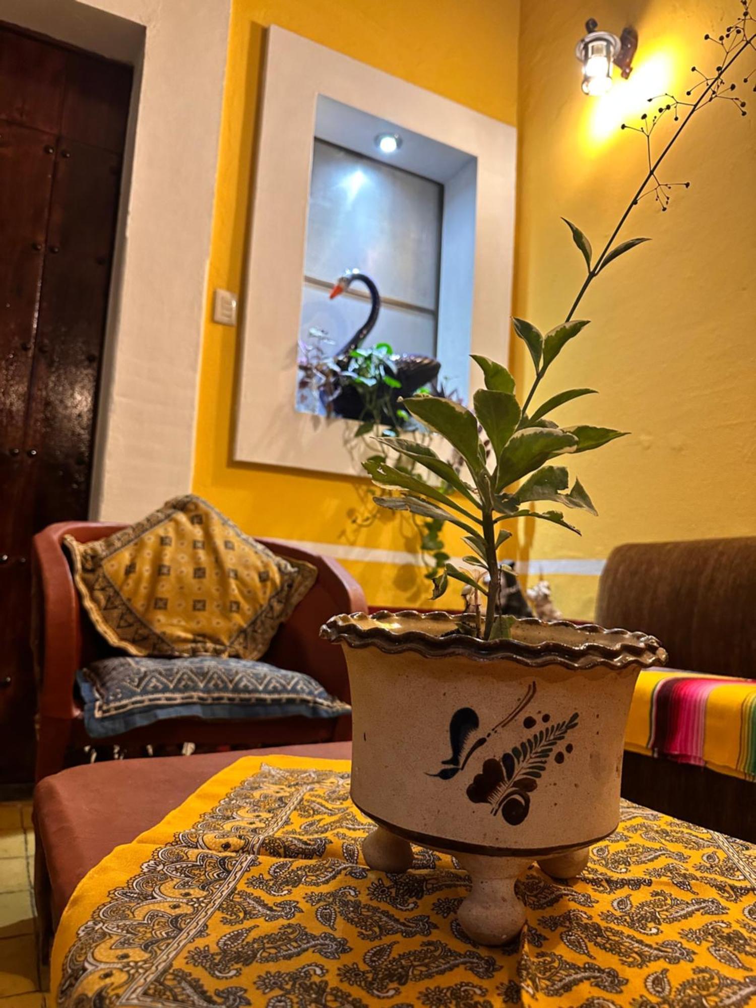 Copa De Oro Hotel Boutique Mascota Dış mekan fotoğraf