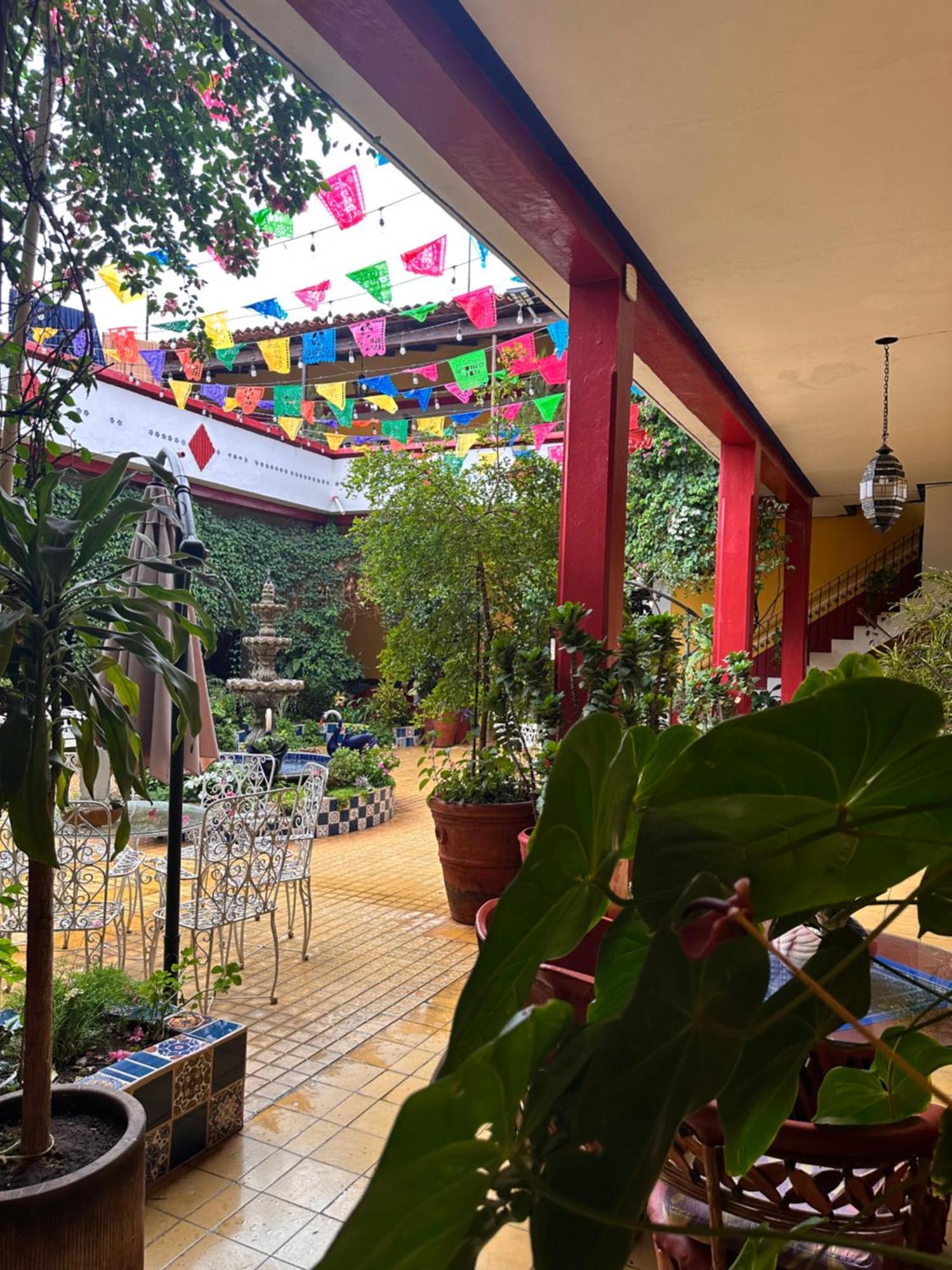 Copa De Oro Hotel Boutique Mascota Dış mekan fotoğraf