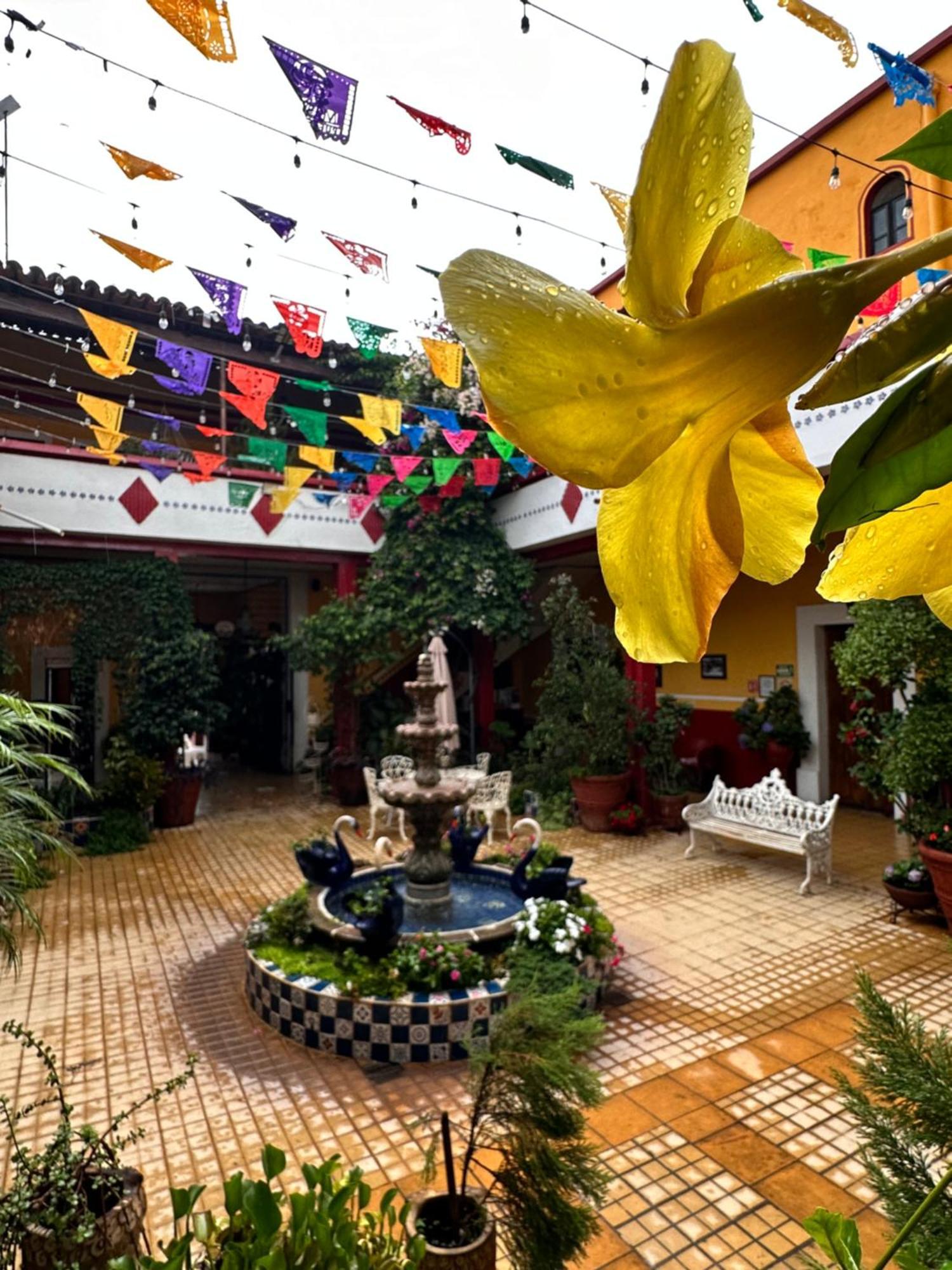 Copa De Oro Hotel Boutique Mascota Dış mekan fotoğraf