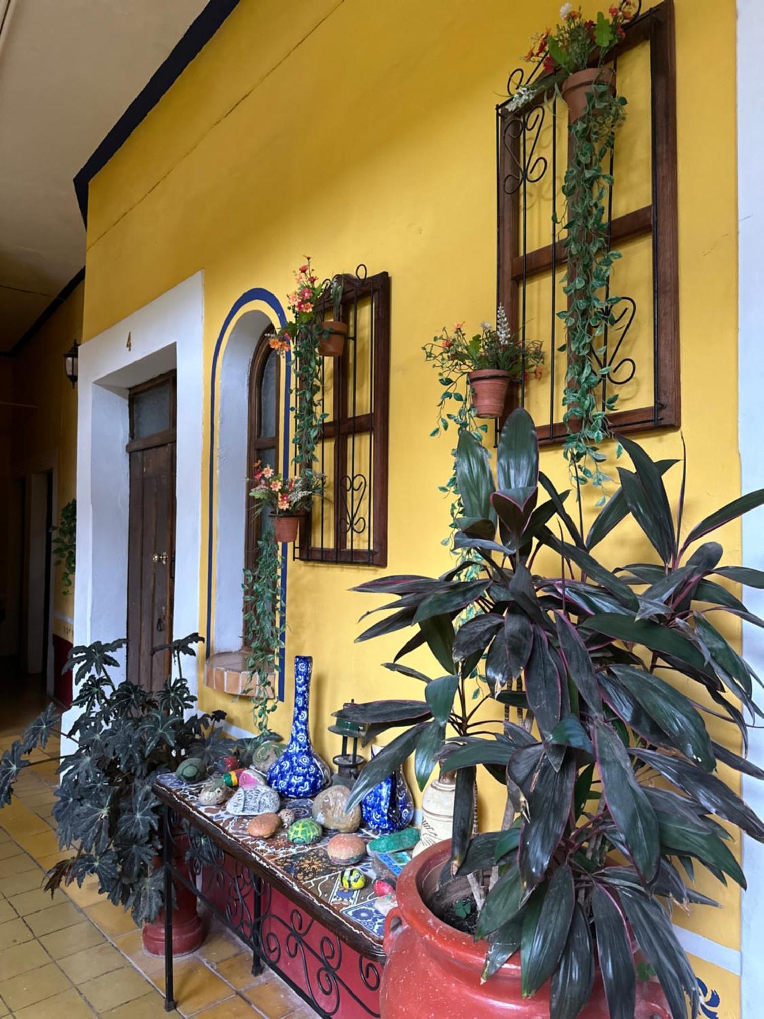 Copa De Oro Hotel Boutique Mascota Dış mekan fotoğraf