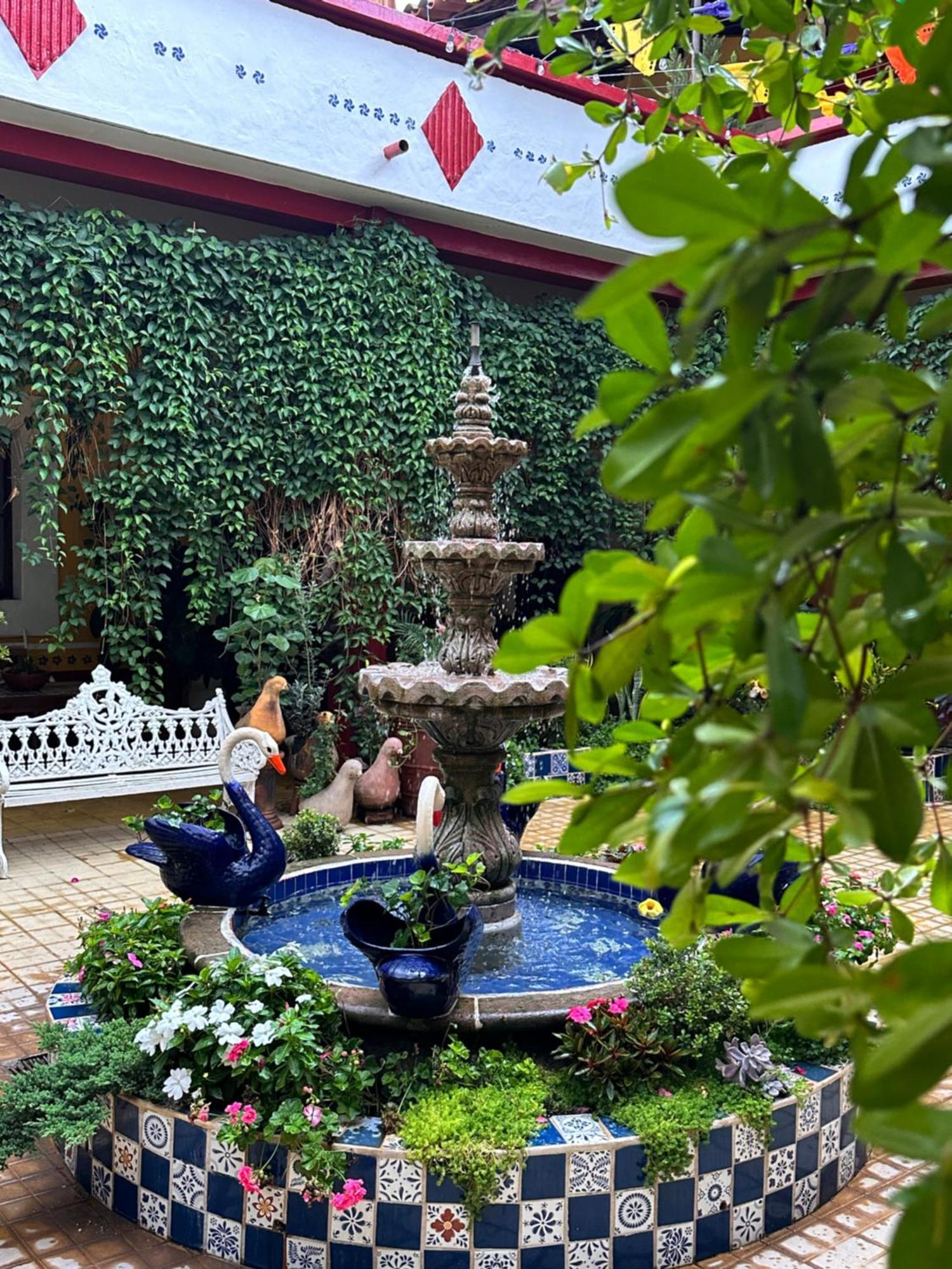 Copa De Oro Hotel Boutique Mascota Dış mekan fotoğraf