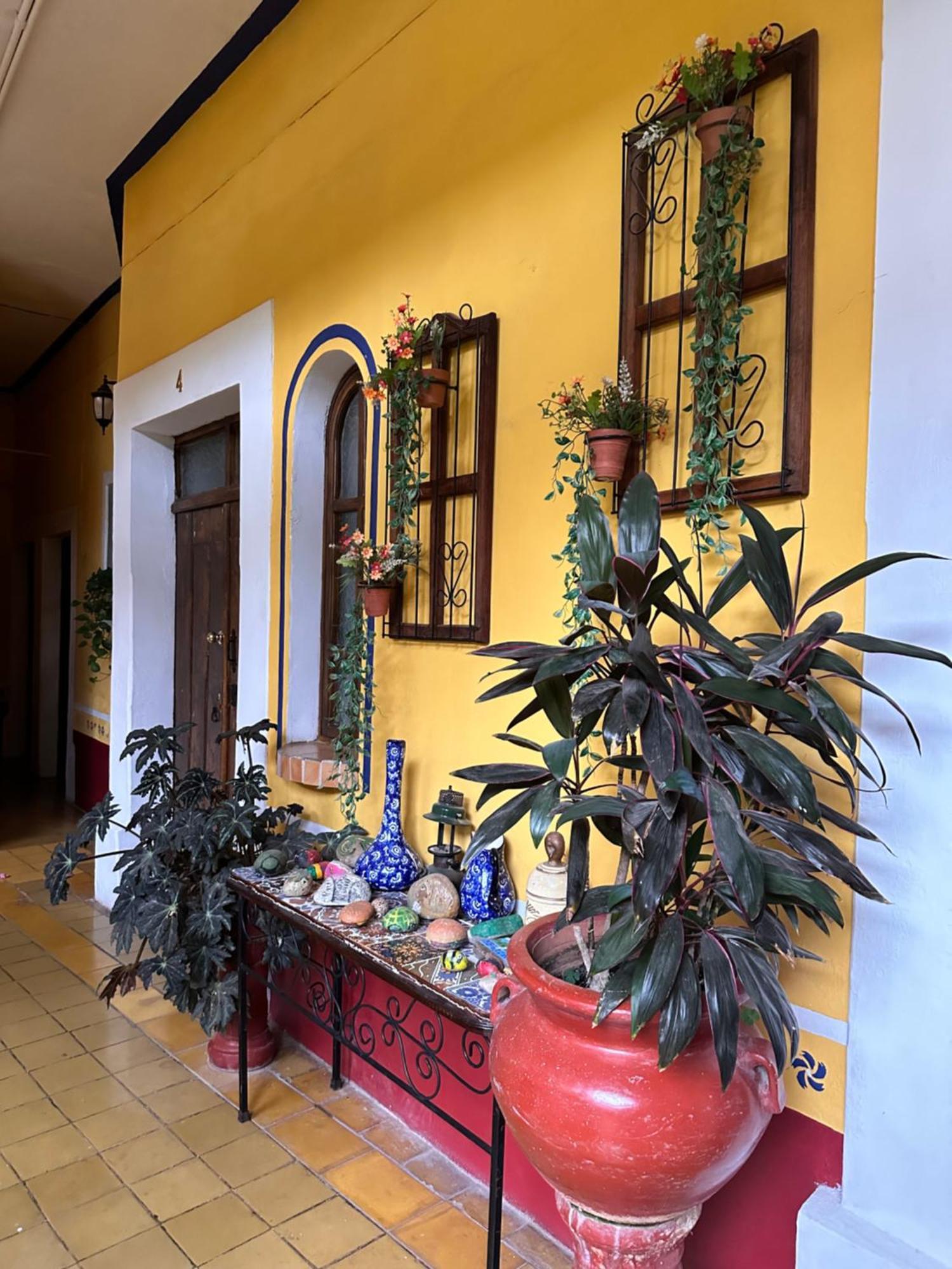 Copa De Oro Hotel Boutique Mascota Dış mekan fotoğraf
