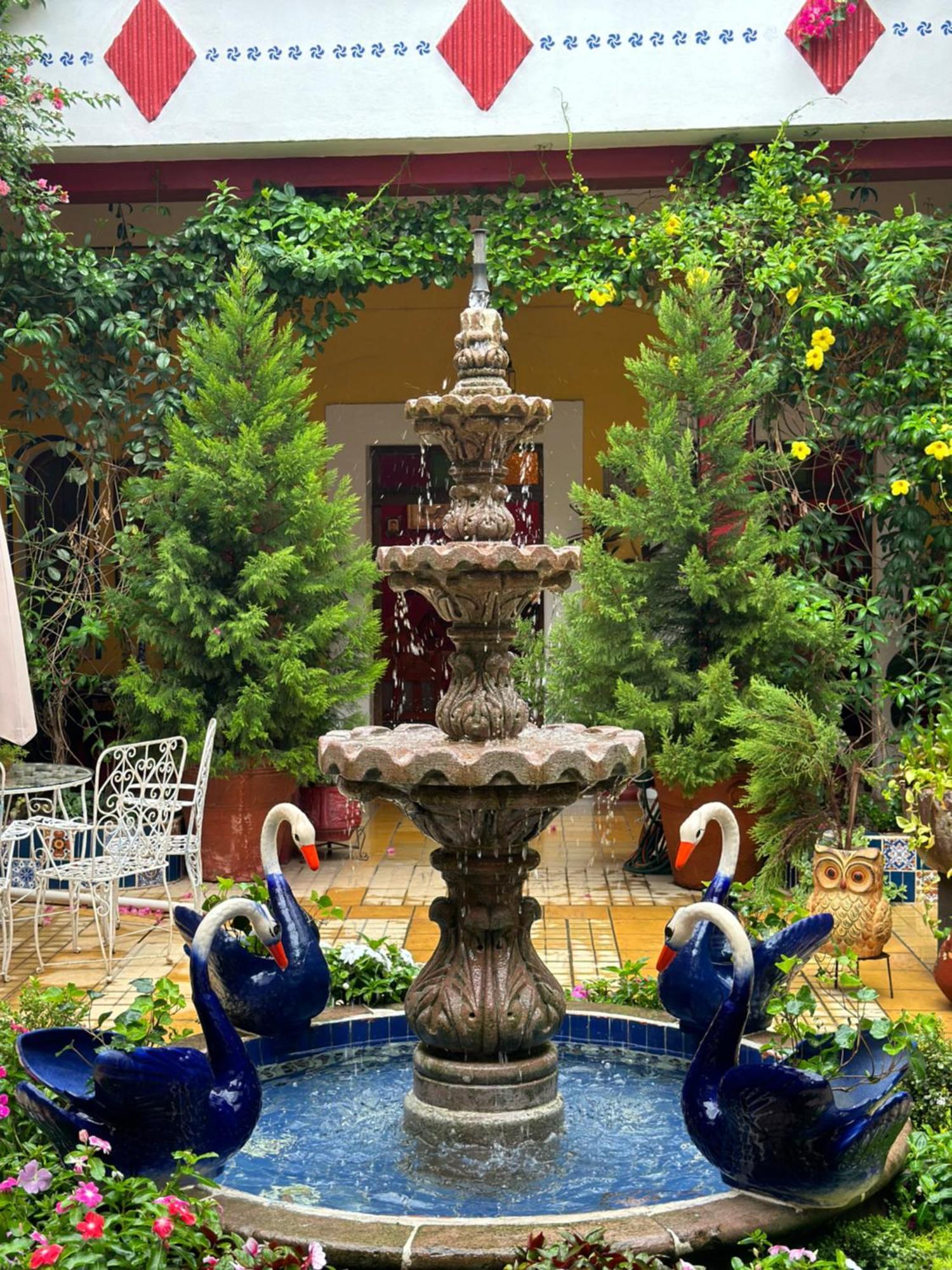 Copa De Oro Hotel Boutique Mascota Dış mekan fotoğraf