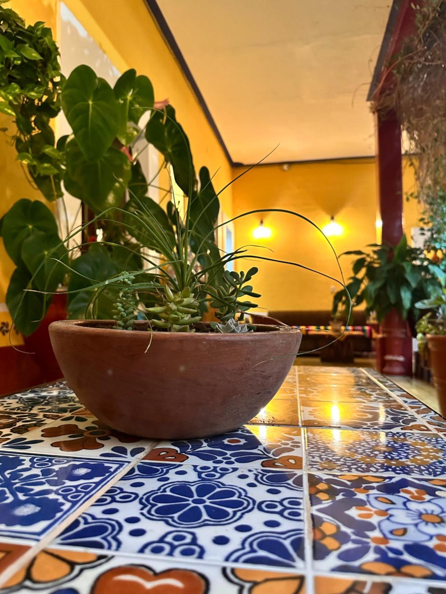 Copa De Oro Hotel Boutique Mascota Dış mekan fotoğraf